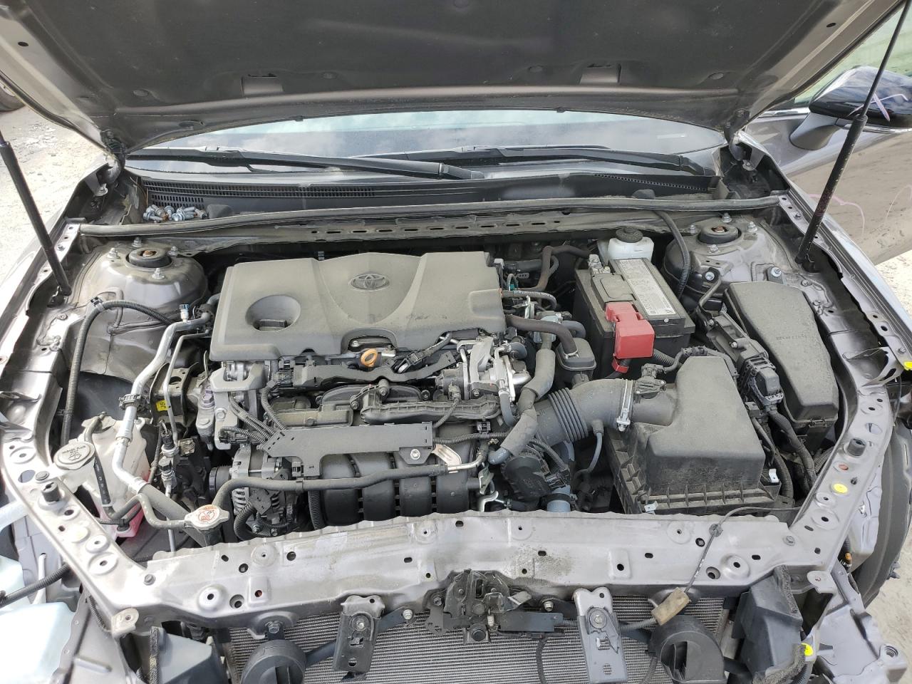 Photo 10 VIN: 4T1M11AK4LU924891 - TOYOTA CAMRY 