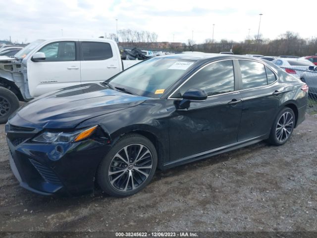 Photo 1 VIN: 4T1M11AKXLU324666 - TOYOTA CAMRY 