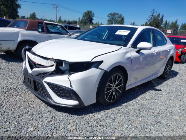 Photo 1 VIN: 4T1S31AK1MU023710 - TOYOTA CAMRY 