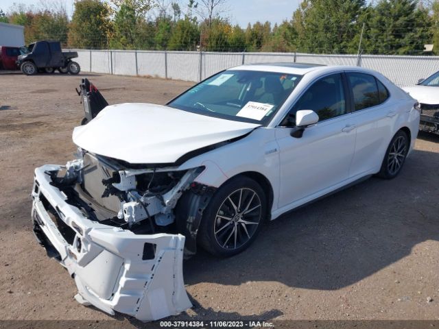 Photo 1 VIN: 4T1S31AK1MU548217 - TOYOTA CAMRY 