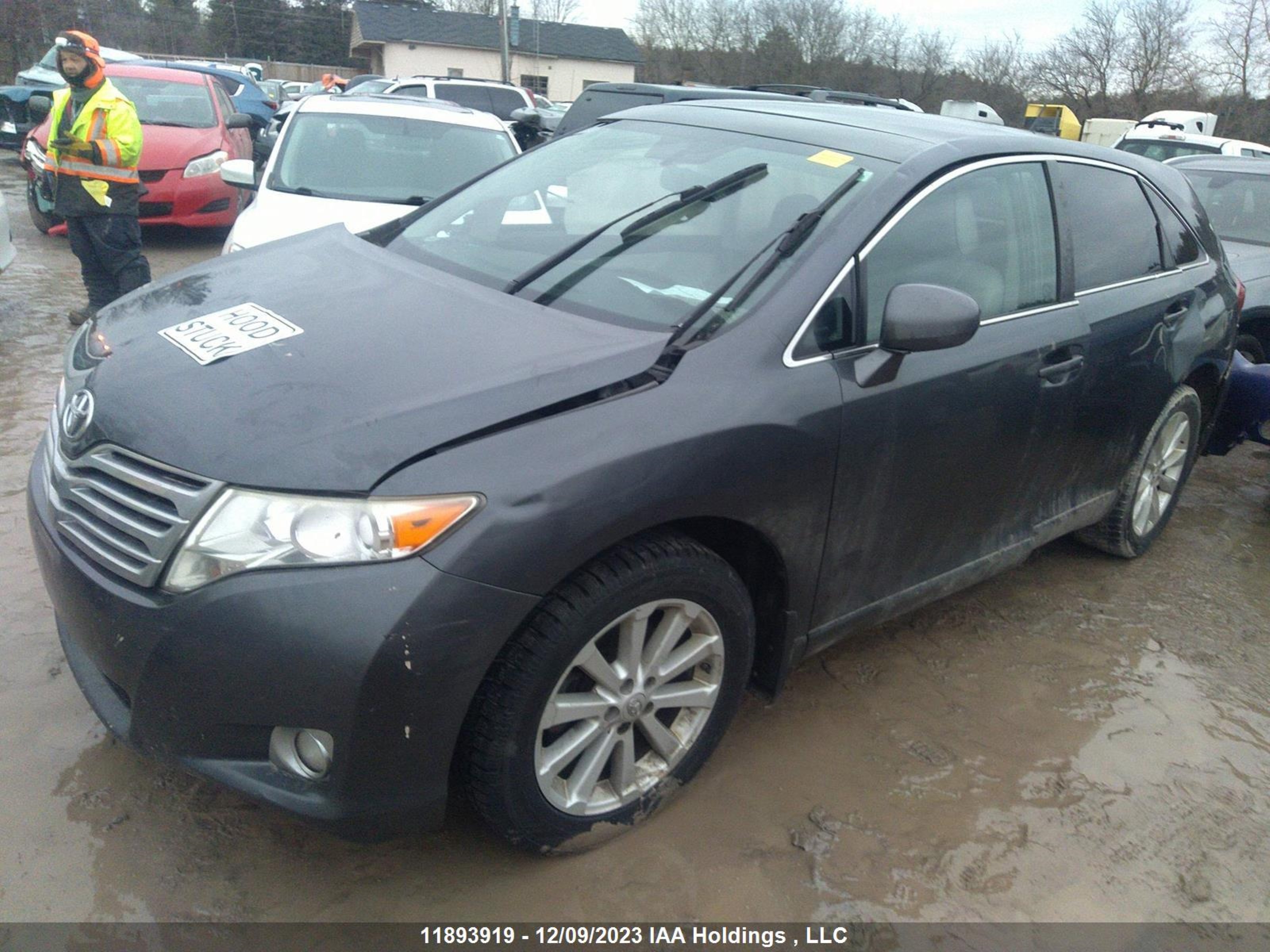 Photo 1 VIN: 4T3BA3BB0AU010529 - TOYOTA VENZA 