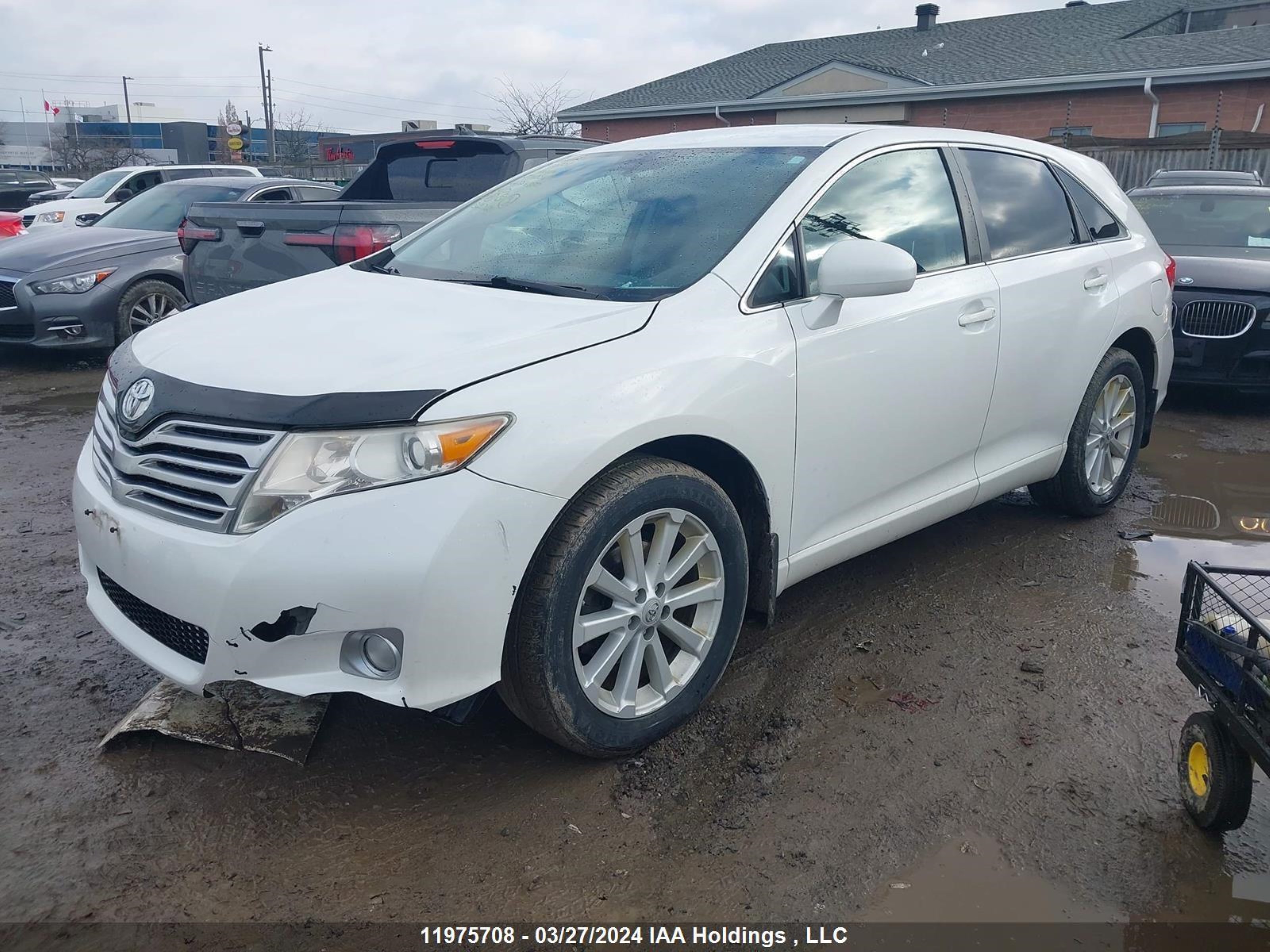 Photo 1 VIN: 4T3BA3BB7CU034054 - TOYOTA VENZA 