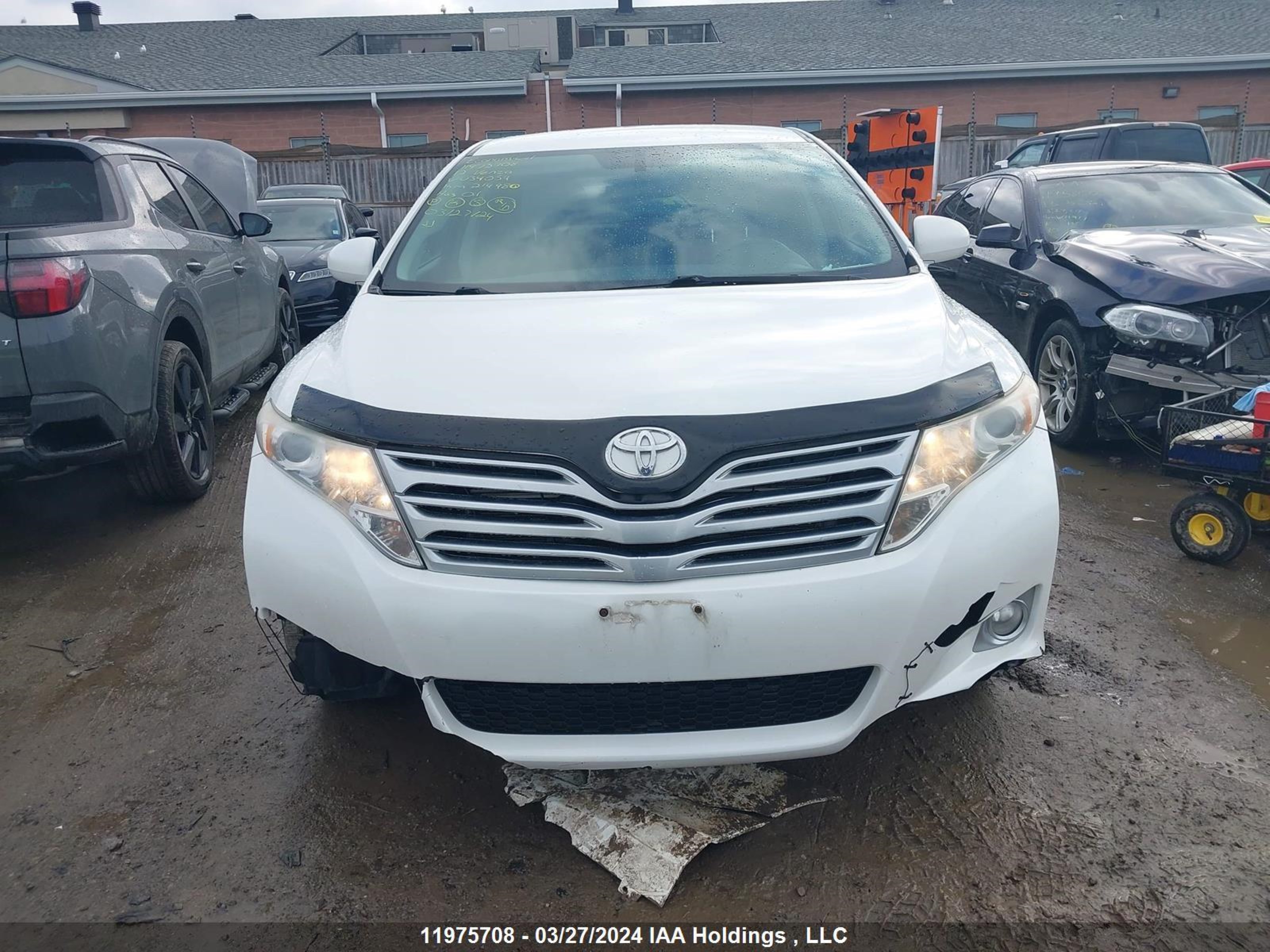 Photo 11 VIN: 4T3BA3BB7CU034054 - TOYOTA VENZA 