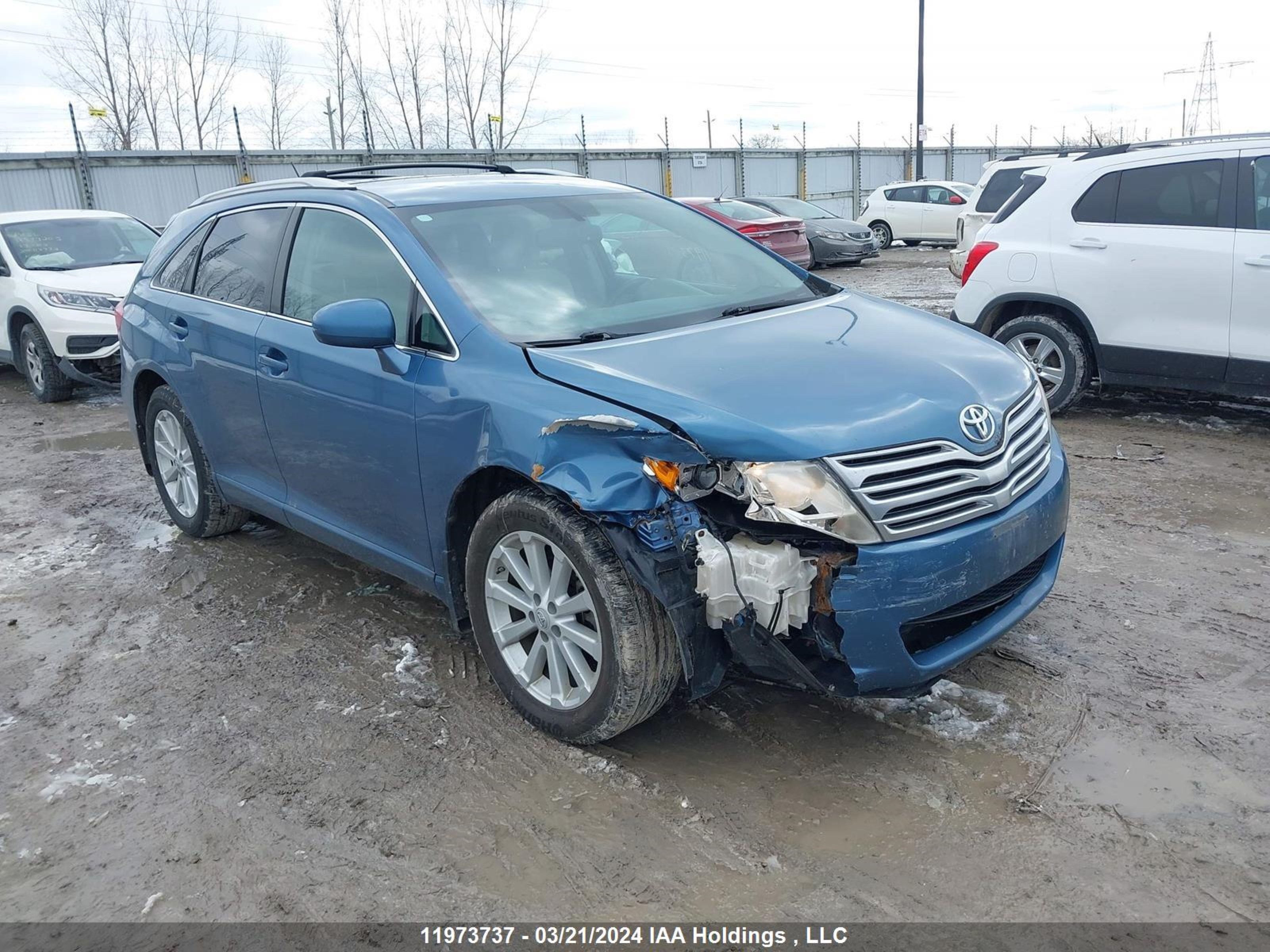 Photo 0 VIN: 4T3BA3BB8AU014716 - TOYOTA VENZA 