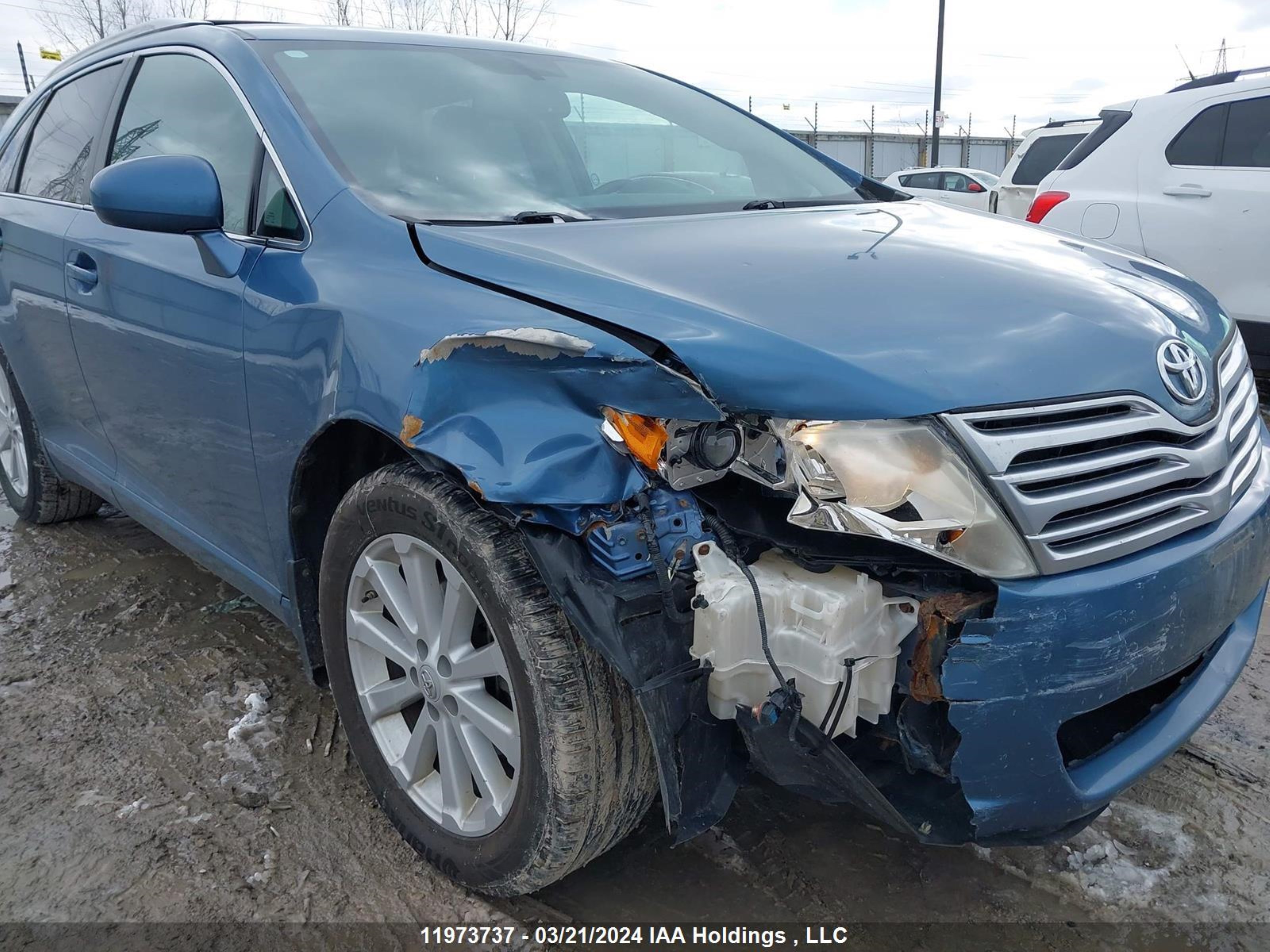 Photo 5 VIN: 4T3BA3BB8AU014716 - TOYOTA VENZA 