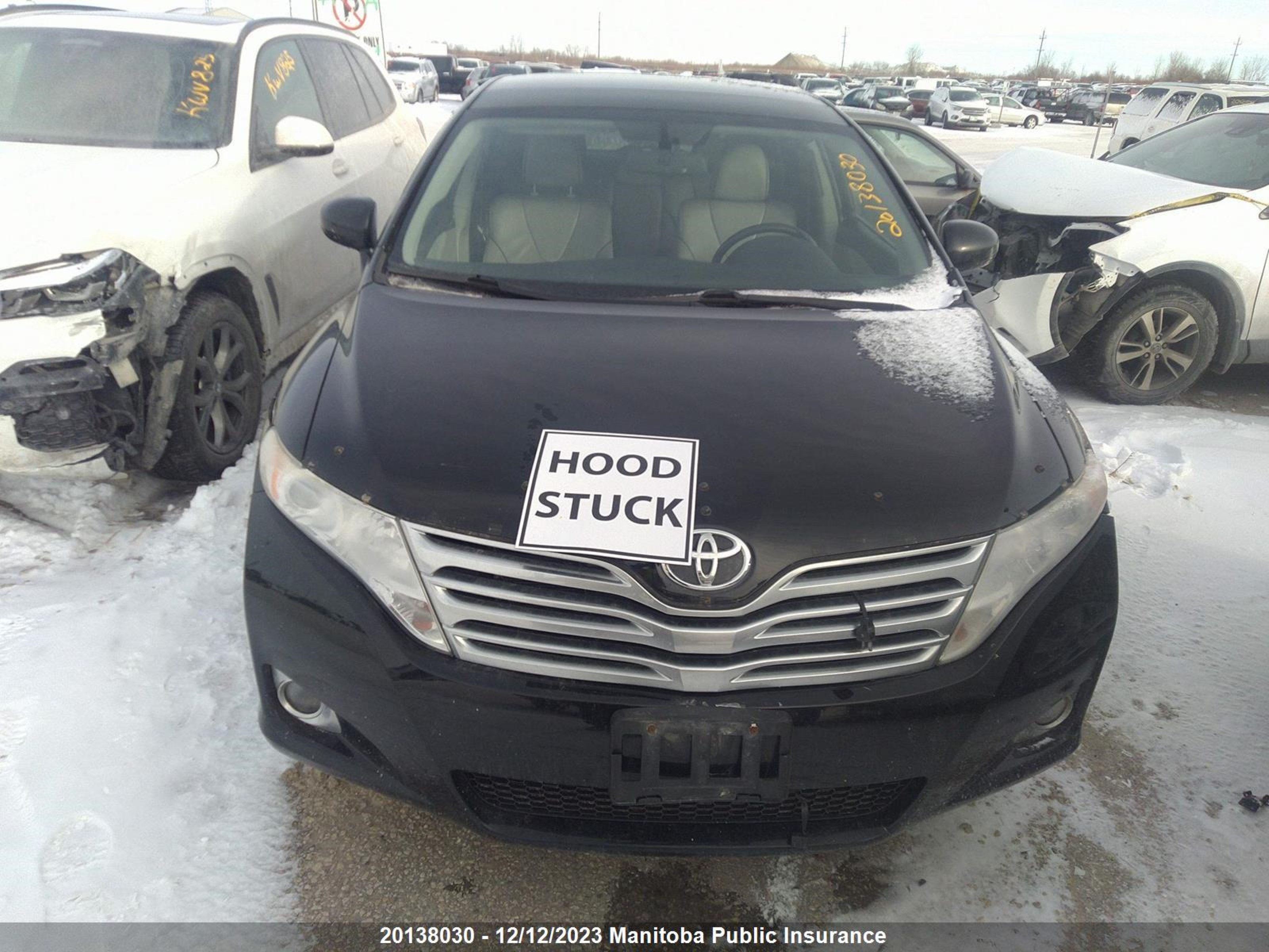 Photo 9 VIN: 4T3BA3BBXAU010327 - TOYOTA VENZA 