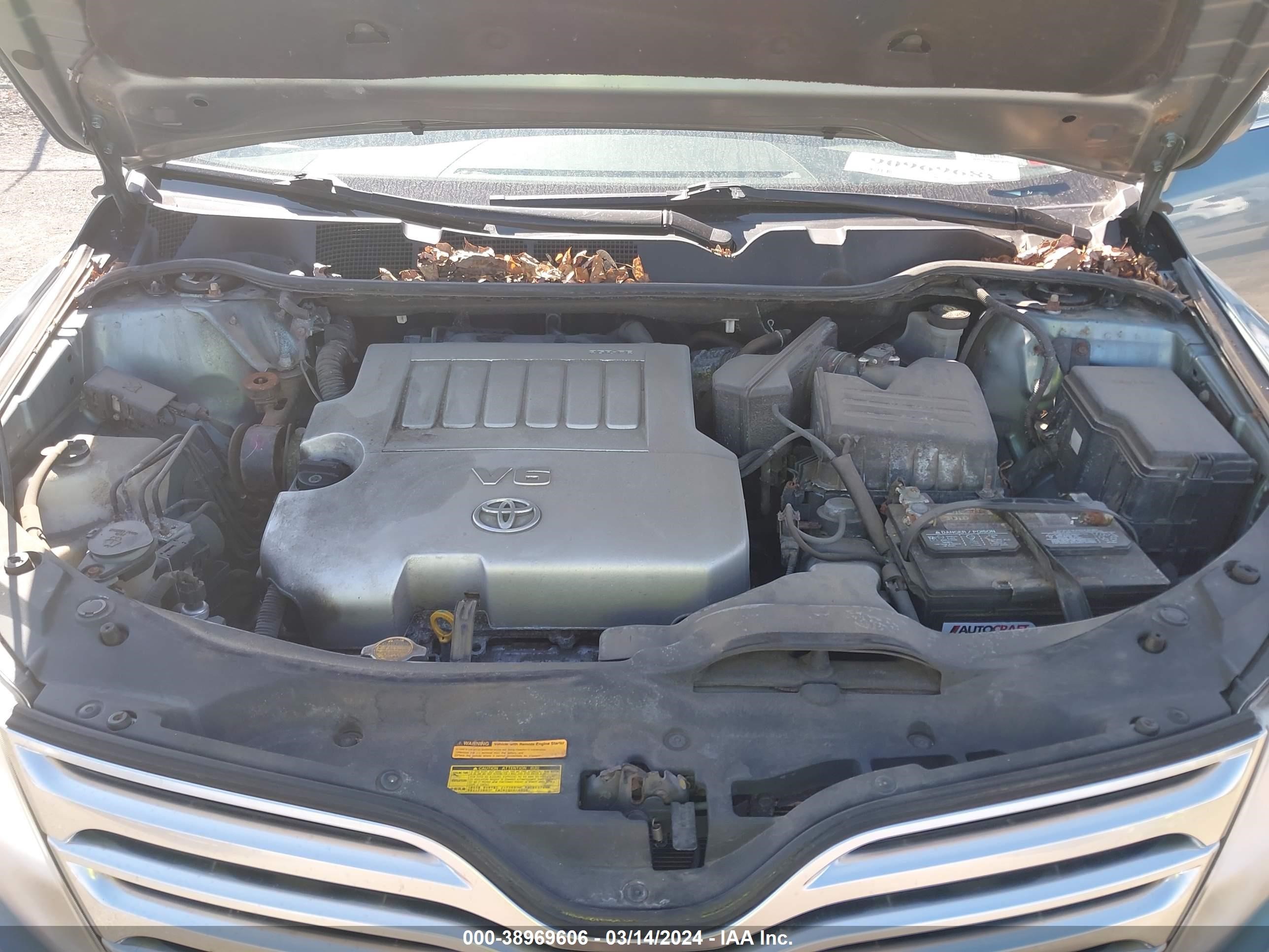 Photo 9 VIN: 4T3BK11A89U004614 - TOYOTA VENZA 