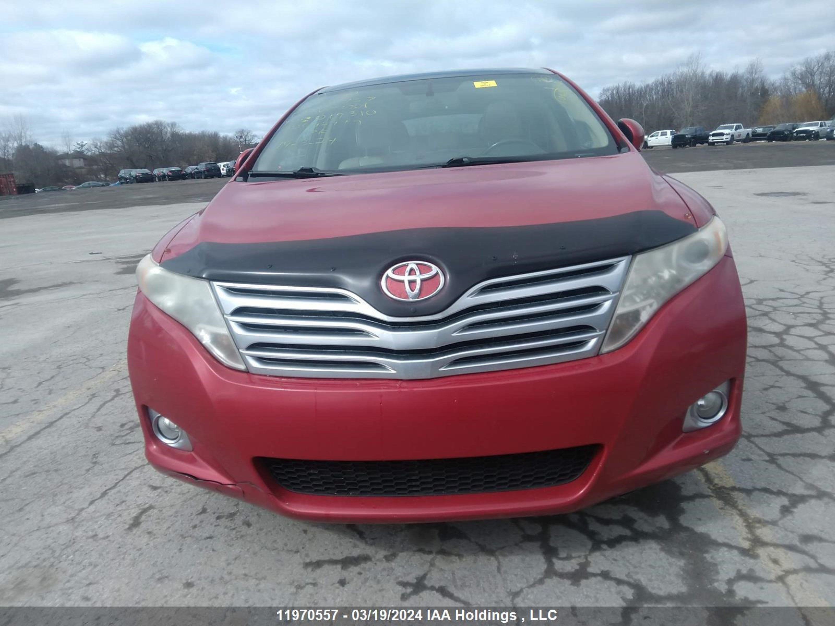 Photo 11 VIN: 4T3BK11A89U019310 - TOYOTA VENZA 