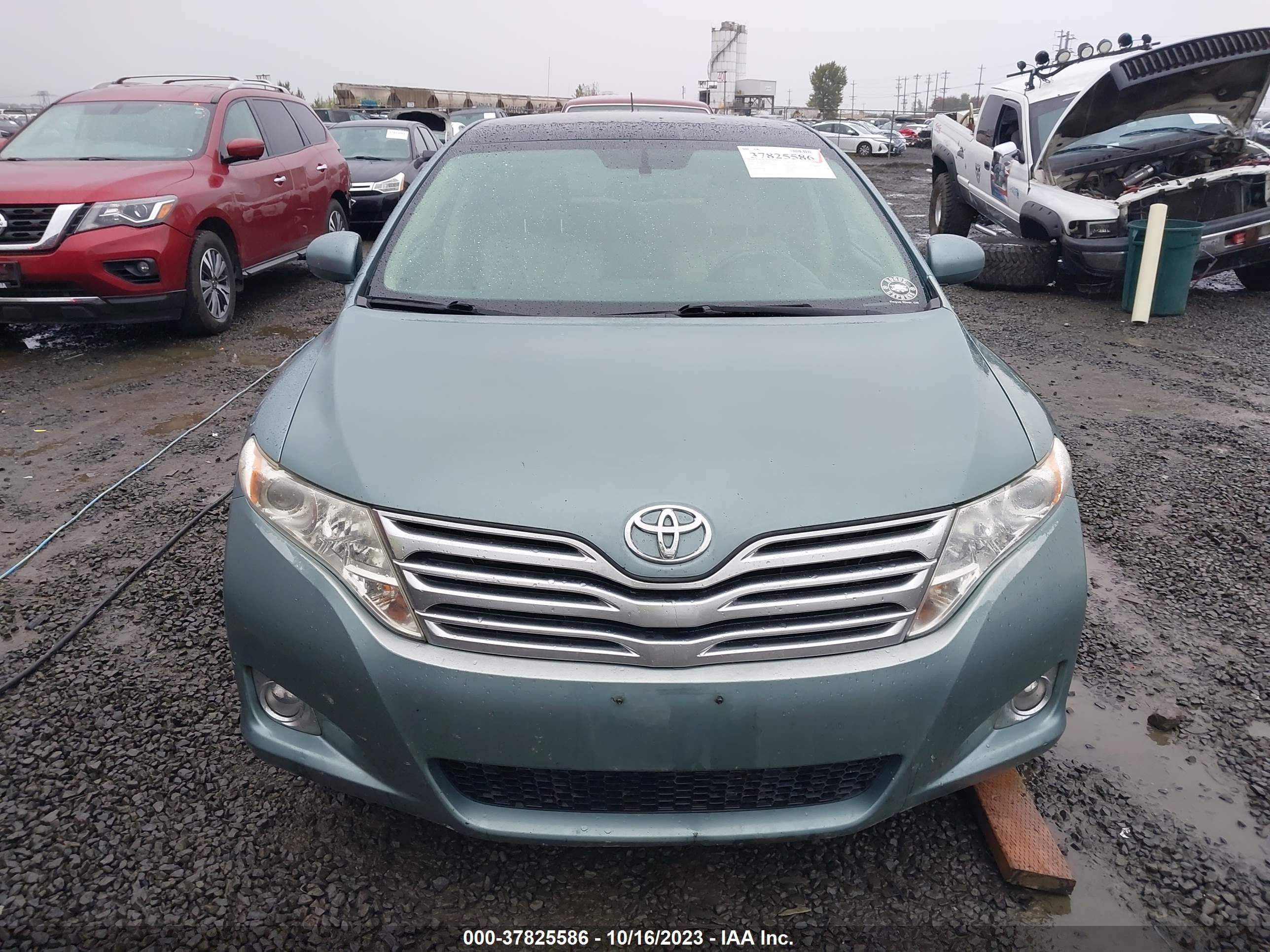 Photo 12 VIN: 4T3BK3BB0AU031295 - TOYOTA VENZA 