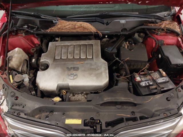 Photo 9 VIN: 4T3BK3BB4AU041201 - TOYOTA VENZA 