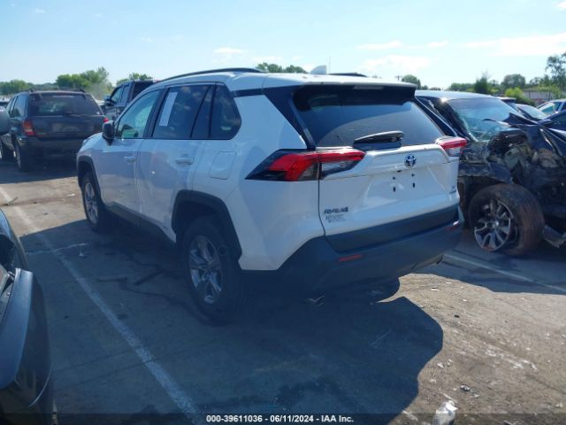 Photo 2 VIN: 4T3LWRFV5RU116287 - TOYOTA RAV4 