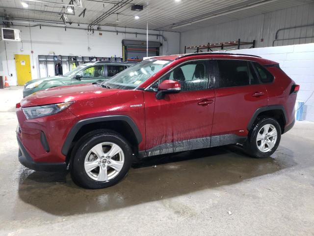 Photo 0 VIN: 4T3MWRFV1MU024087 - TOYOTA RAV4 