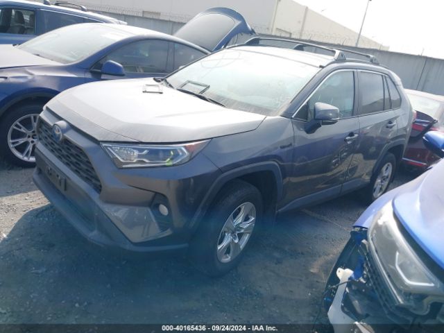 Photo 1 VIN: 4T3RWRFV3MU040183 - TOYOTA RAV4 