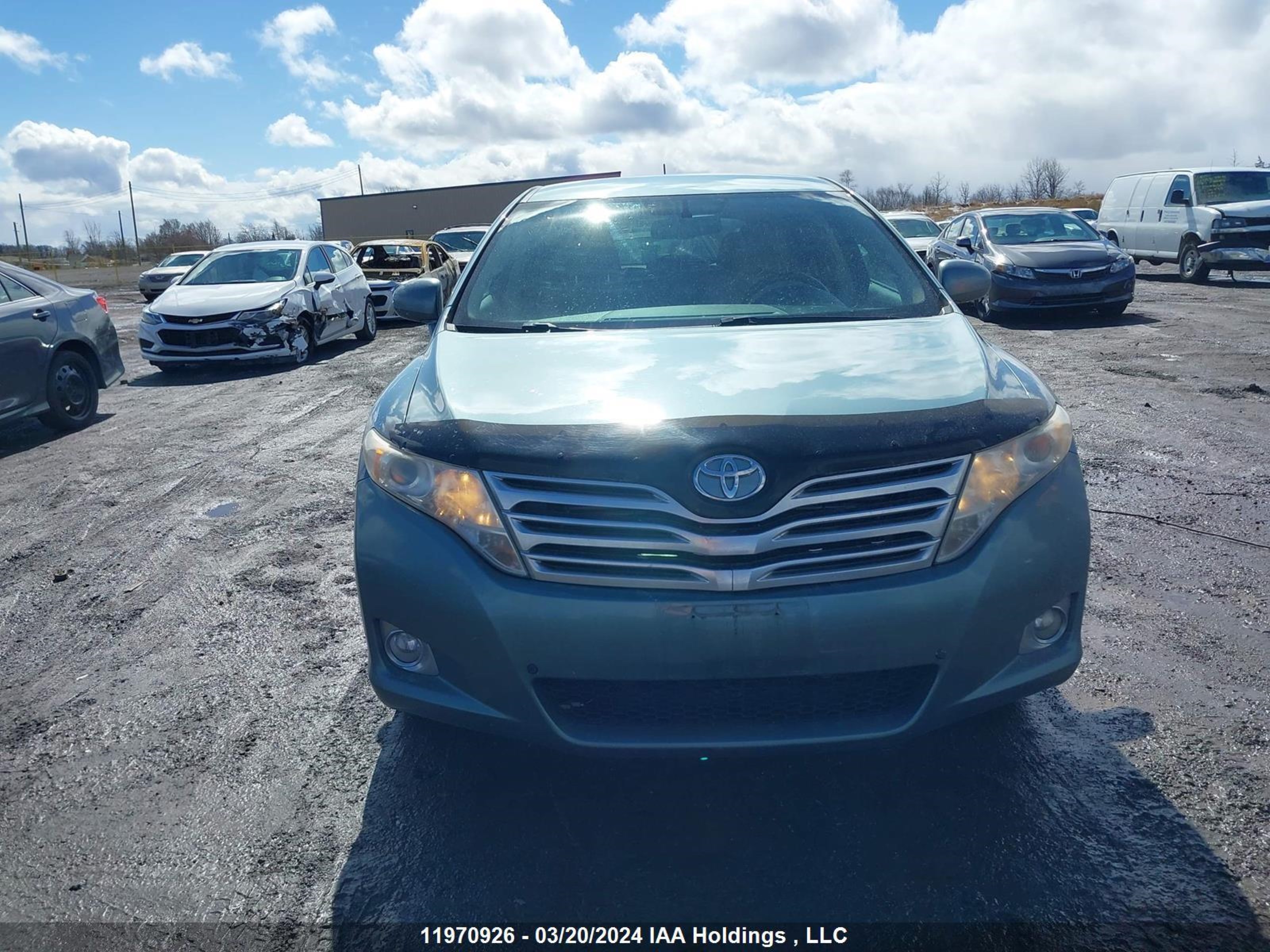 Photo 11 VIN: 4T3ZE11A89U004277 - TOYOTA VENZA 