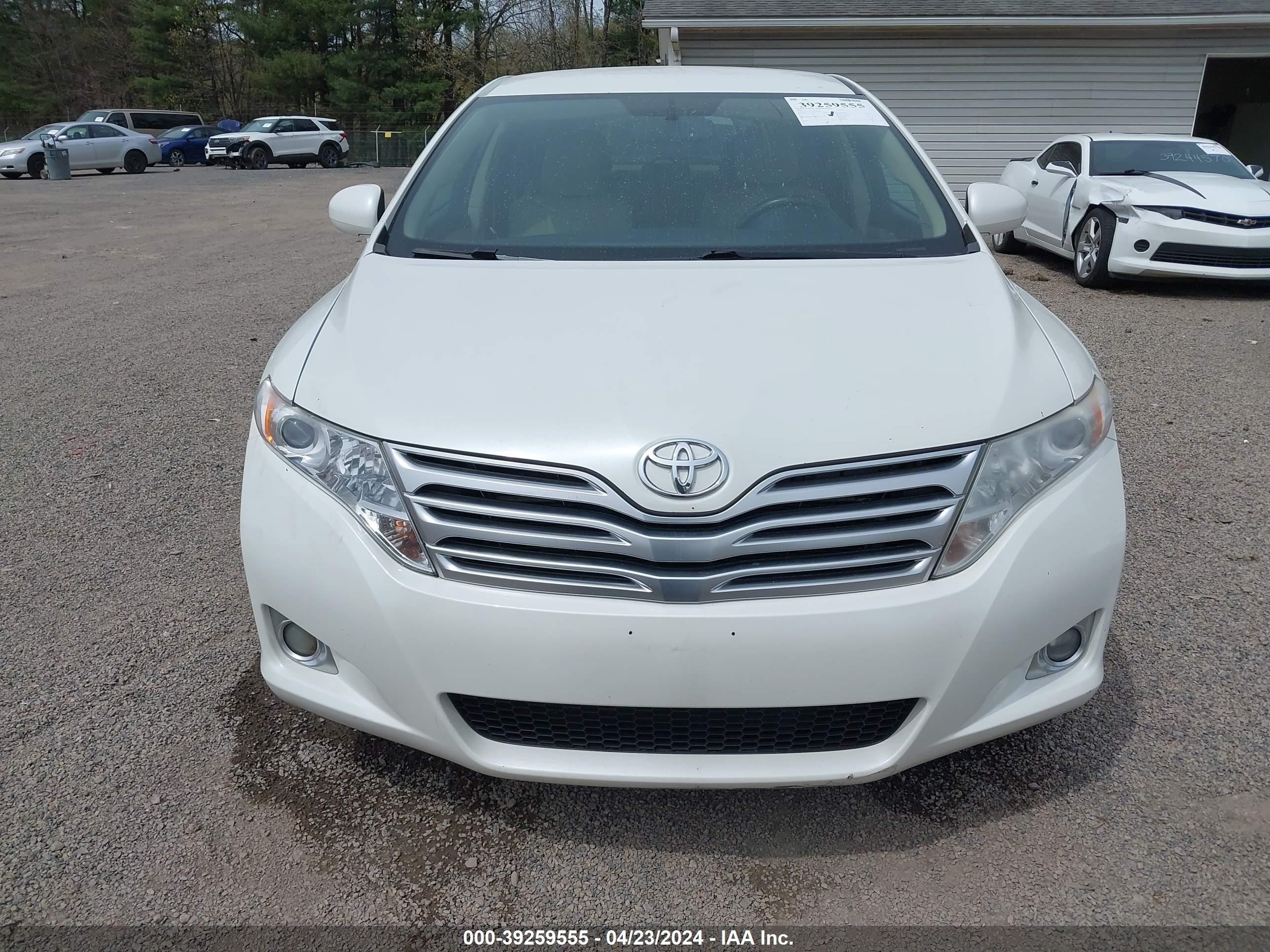 Photo 11 VIN: 4T3ZE11A99U003641 - TOYOTA VENZA 