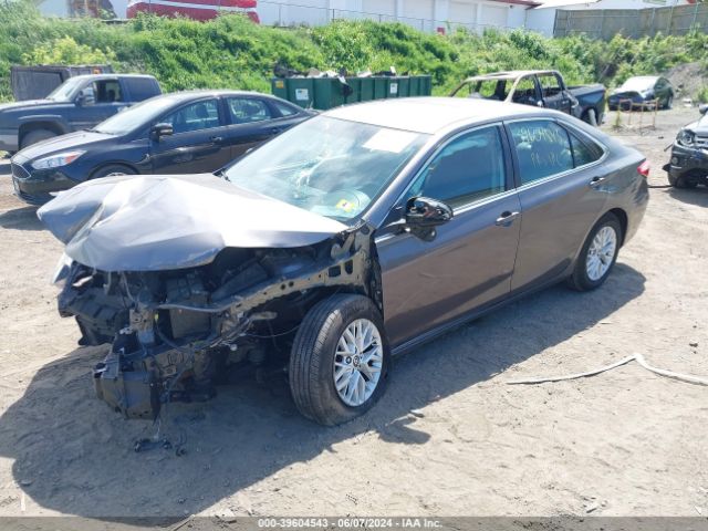 Photo 1 VIN: 4T4BF1FK7GR584214 - TOYOTA CAMRY 