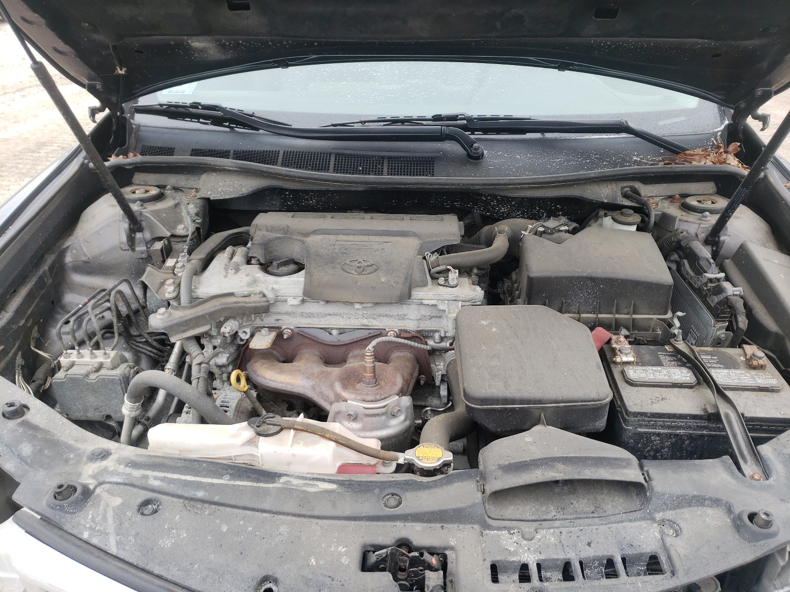 Photo 6 VIN: 4T4BF1FKXDR295906 - TOYOTA CAMRY 