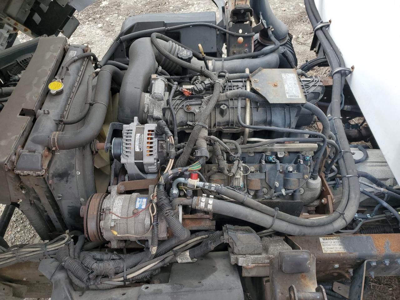 Photo 10 VIN: 54DB4W1B9GS800953 - ISUZU NPR 