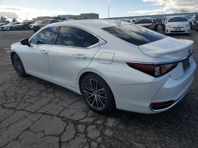 Photo 1 VIN: 58ADA1C11NU014308 - LEXUS ES300 