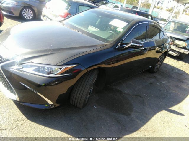 Photo 5 VIN: 58ADA1C12NU018013 - LEXUS ES 