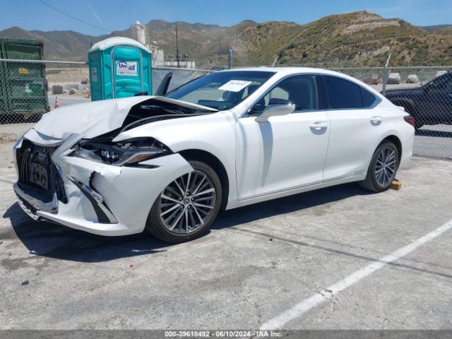 Photo 1 VIN: 58ADA1C14NU016926 - LEXUS ES 