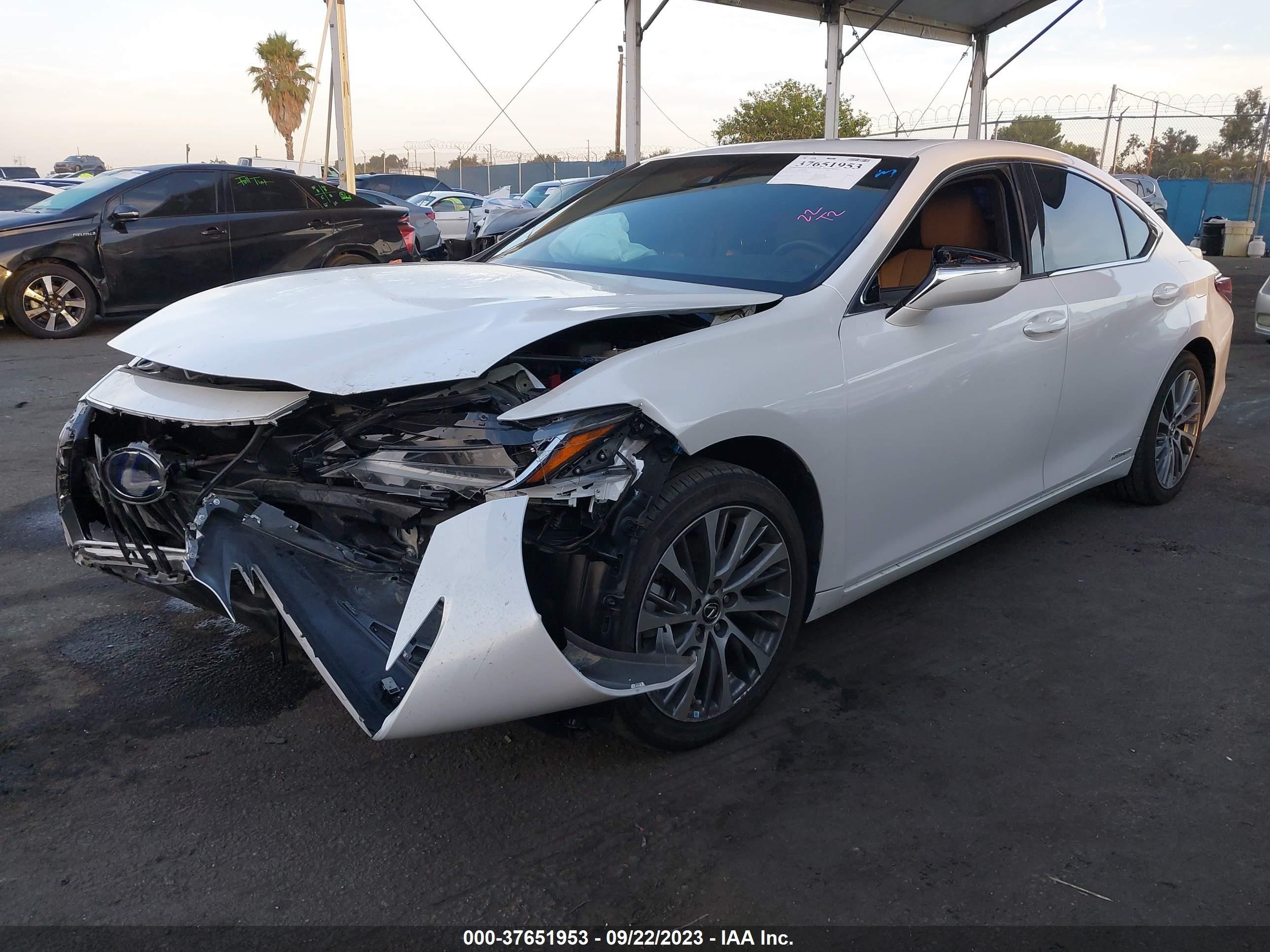 Photo 1 VIN: 58ADA1C19MU009789 - LEXUS ES 