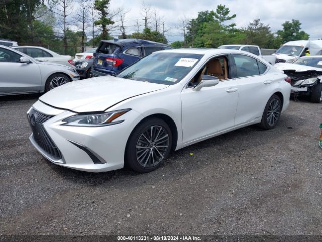 Photo 1 VIN: 58ADA1C19NU026352 - LEXUS ES 