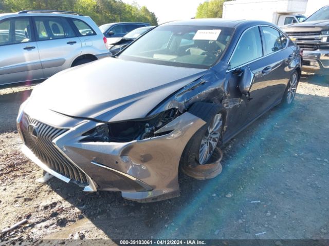 Photo 1 VIN: 58ADZ1B13LU078065 - LEXUS ES 350 