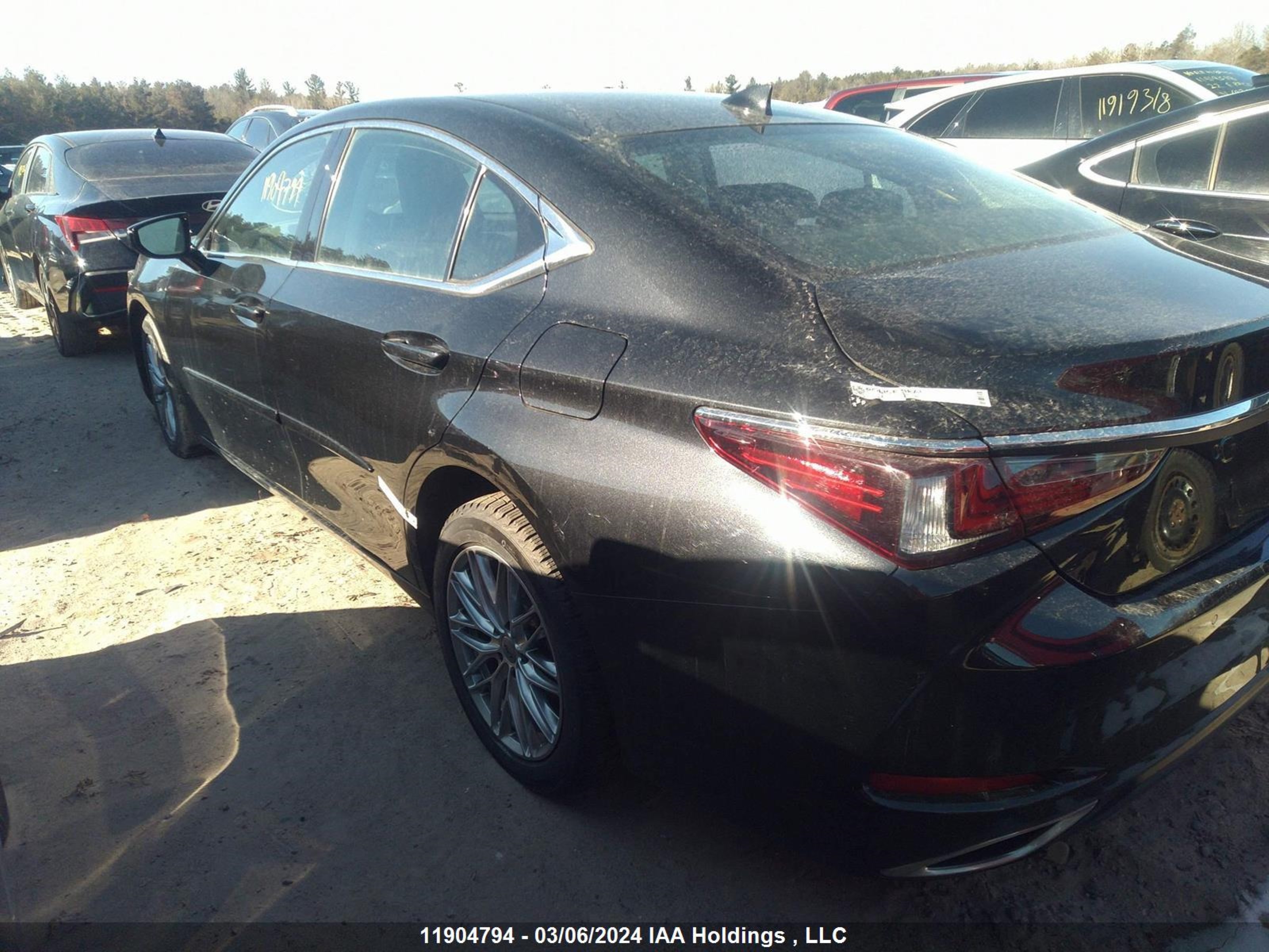 Photo 13 VIN: 58ADZ1B13NU118230 - LEXUS ES 