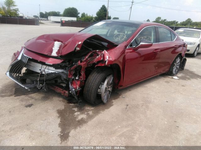 Photo 1 VIN: 58ADZ1B14MU099556 - LEXUS ES 350 