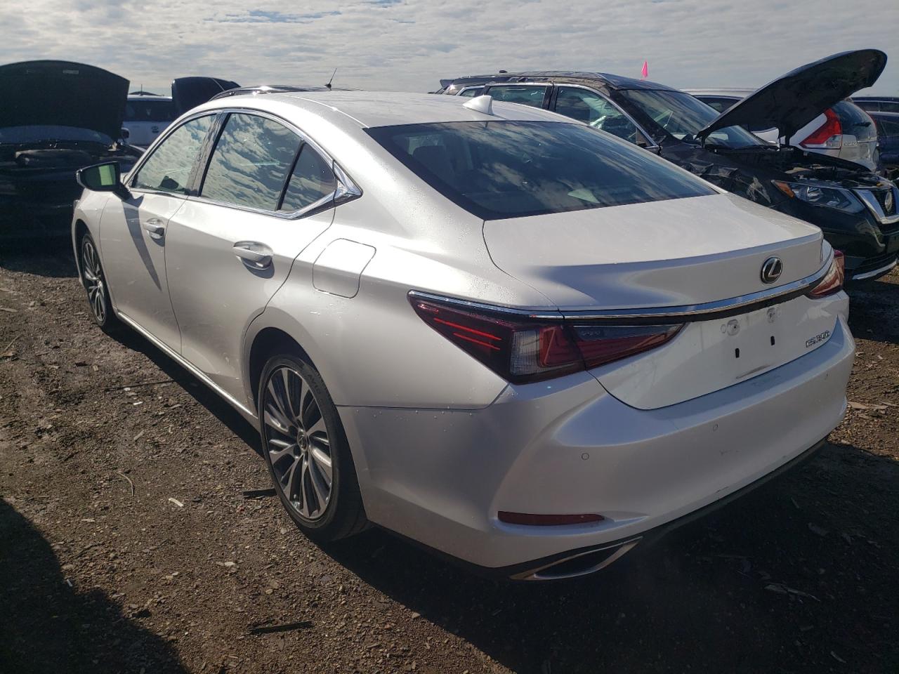 Photo 1 VIN: 58ADZ1B16LU071630 - LEXUS ES 