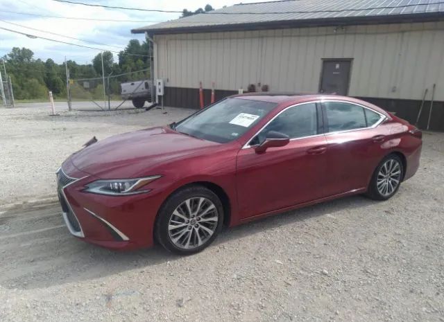 Photo 1 VIN: 58ADZ1B18LU071080 - LEXUS ES 