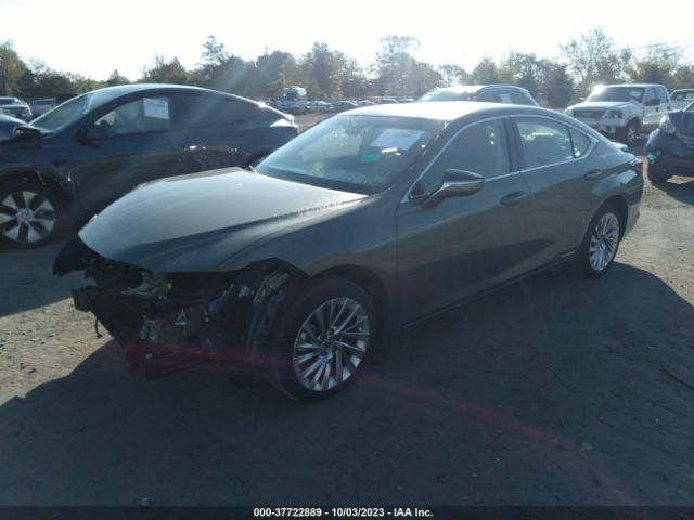 Photo 1 VIN: 58AE21B13LU007571 - LEXUS ES 300H 