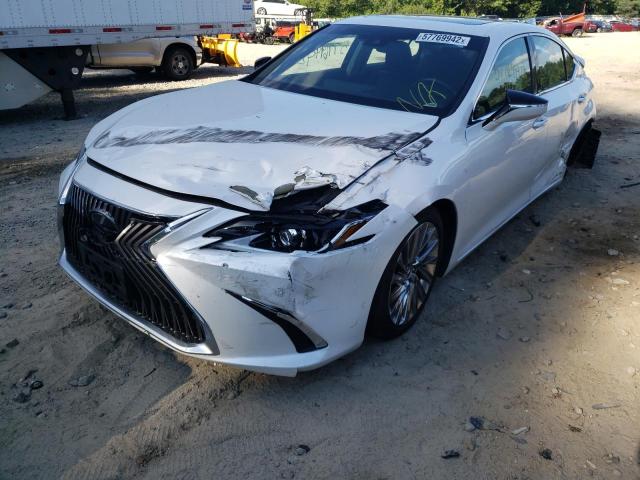 Photo 1 VIN: 58AE21B18LU009770 - LEXUS ES 300H LU 