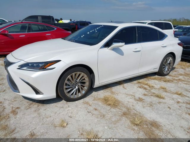 Photo 1 VIN: 58AFA1C13MU010462 - LEXUS ES 