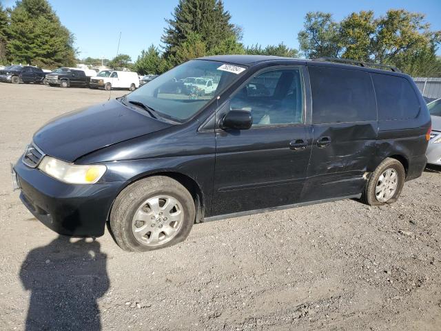 Photo 0 VIN: 5FNRL18023B101507 - HONDA ODYSSEY EX 