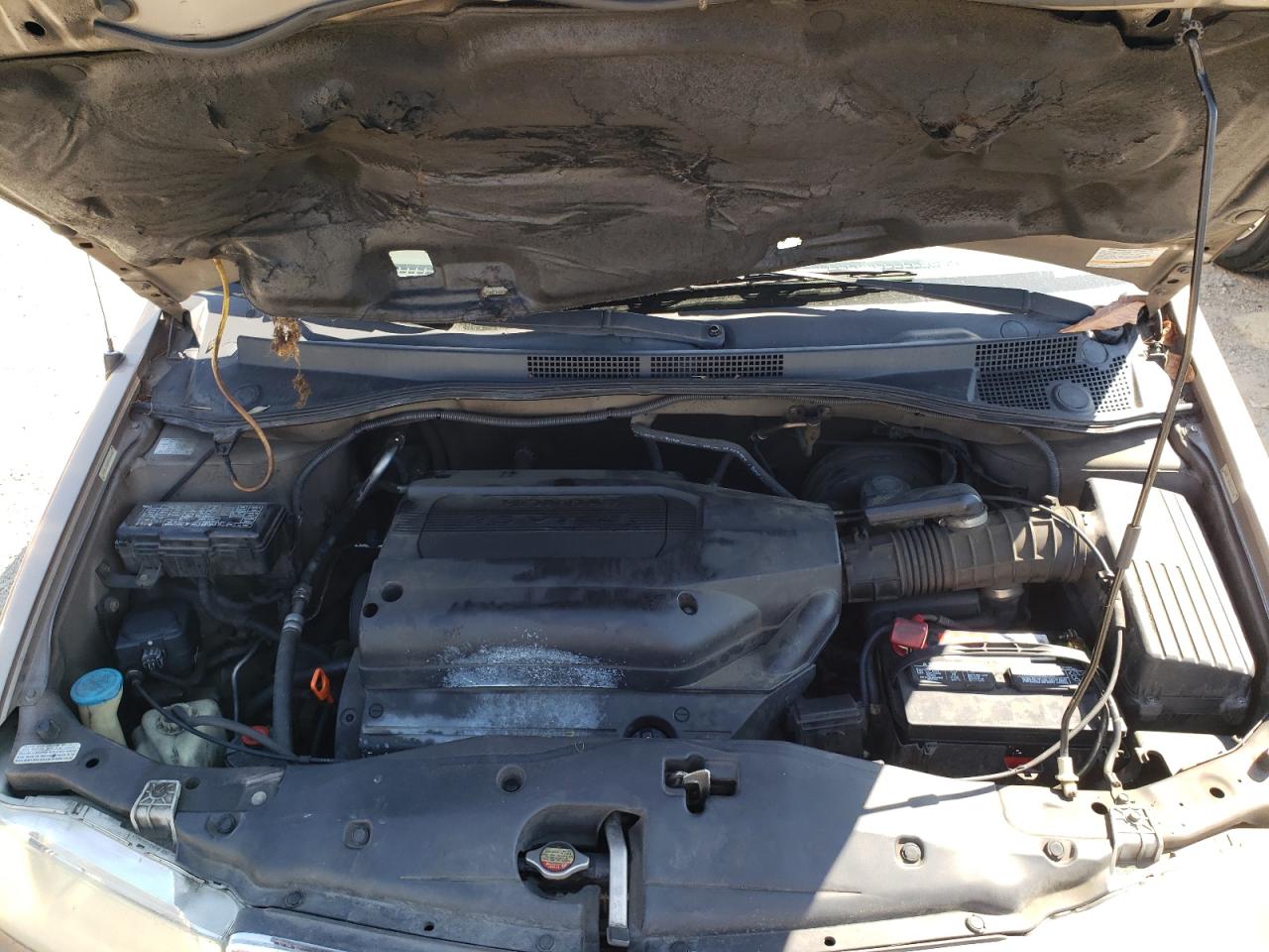 Photo 11 VIN: 5FNRL18093B124458 - HONDA ODYSSEY 