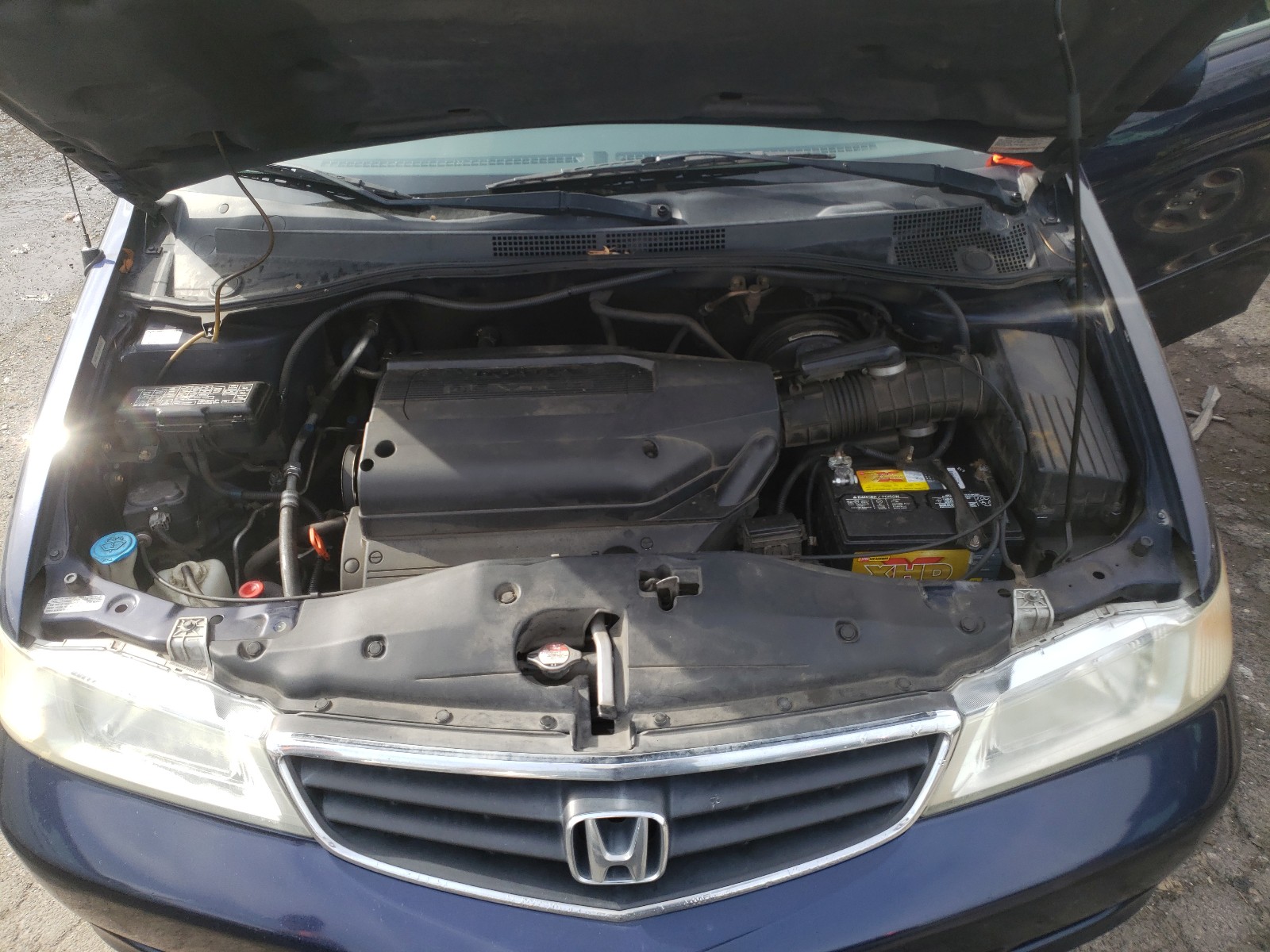 Photo 6 VIN: 5FNRL18613B109313 - HONDA ODYSSEY EX 