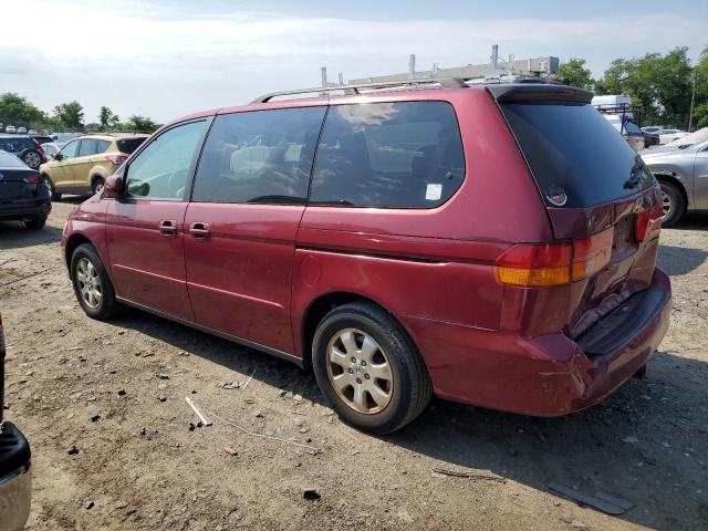 Photo 1 VIN: 5FNRL18634B008663 - HONDA ODYSSEY EX 