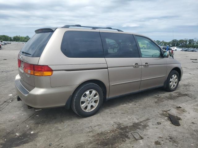 Photo 2 VIN: 5FNRL18884B126452 - HONDA ODYSSEY EX 