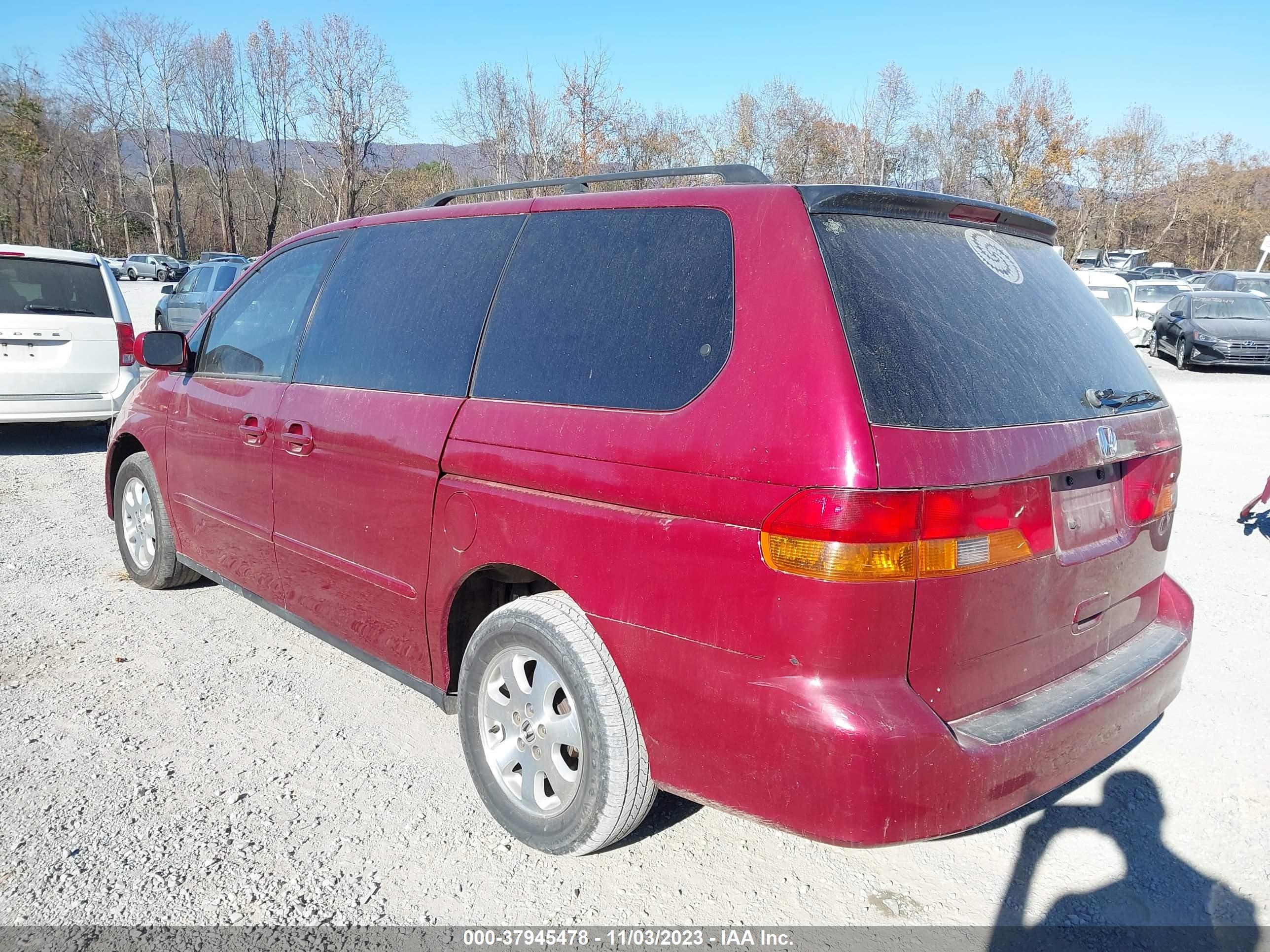 Photo 5 VIN: 5FNRL18994B025347 - HONDA ODYSSEY 