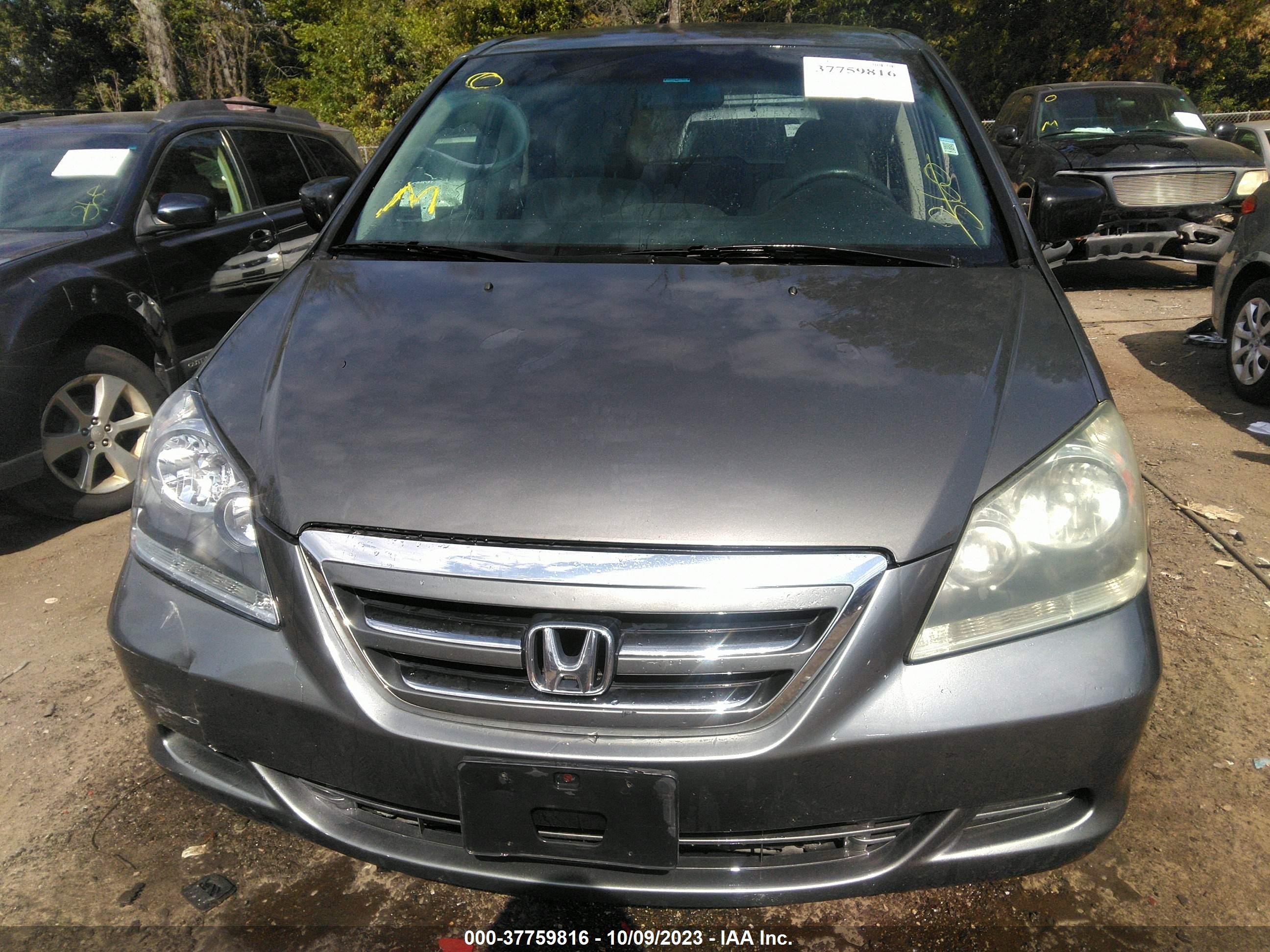 Photo 11 VIN: 5FNRL38227B098613 - HONDA ODYSSEY 