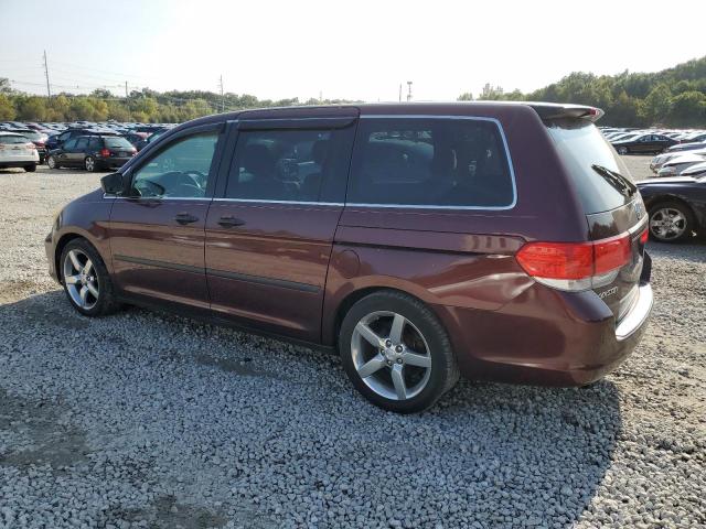 Photo 1 VIN: 5FNRL38268B000846 - HONDA ODYSSEY LX 