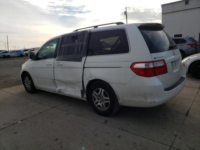 Photo 1 VIN: 5FNRL38405B066516 - HONDA ODYSSEY EX 