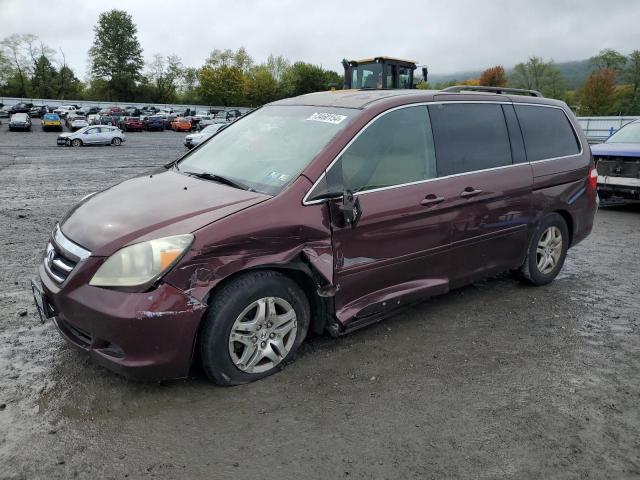 Photo 0 VIN: 5FNRL38407B071511 - HONDA ODYSSEY EX 