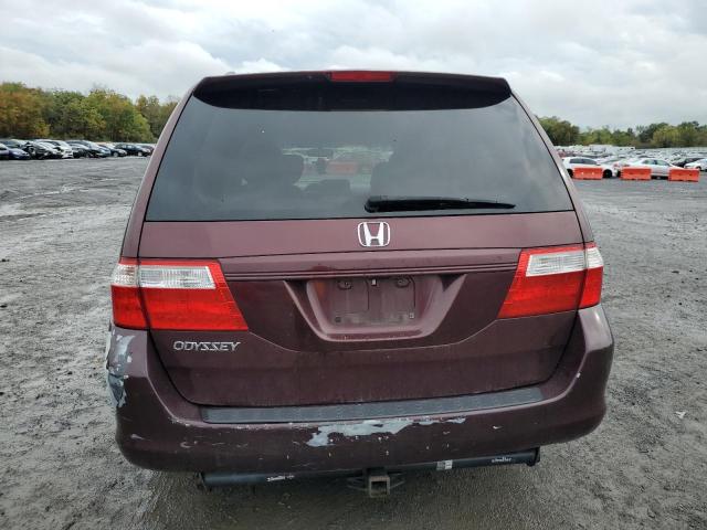 Photo 5 VIN: 5FNRL38407B071511 - HONDA ODYSSEY EX 