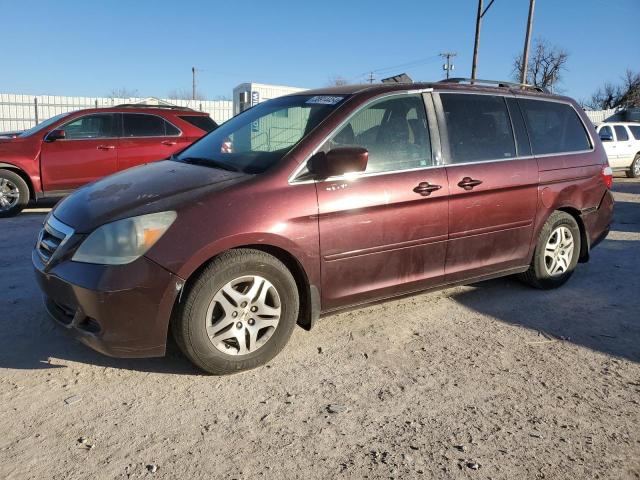 Photo 0 VIN: 5FNRL38407B405519 - HONDA ODYSSEY EX 