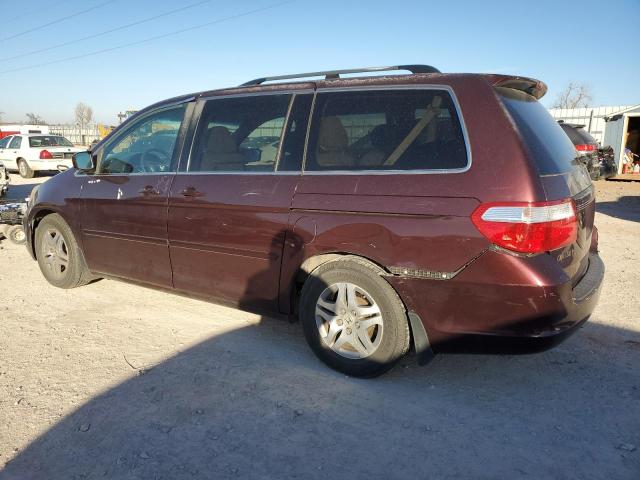 Photo 1 VIN: 5FNRL38407B405519 - HONDA ODYSSEY EX 