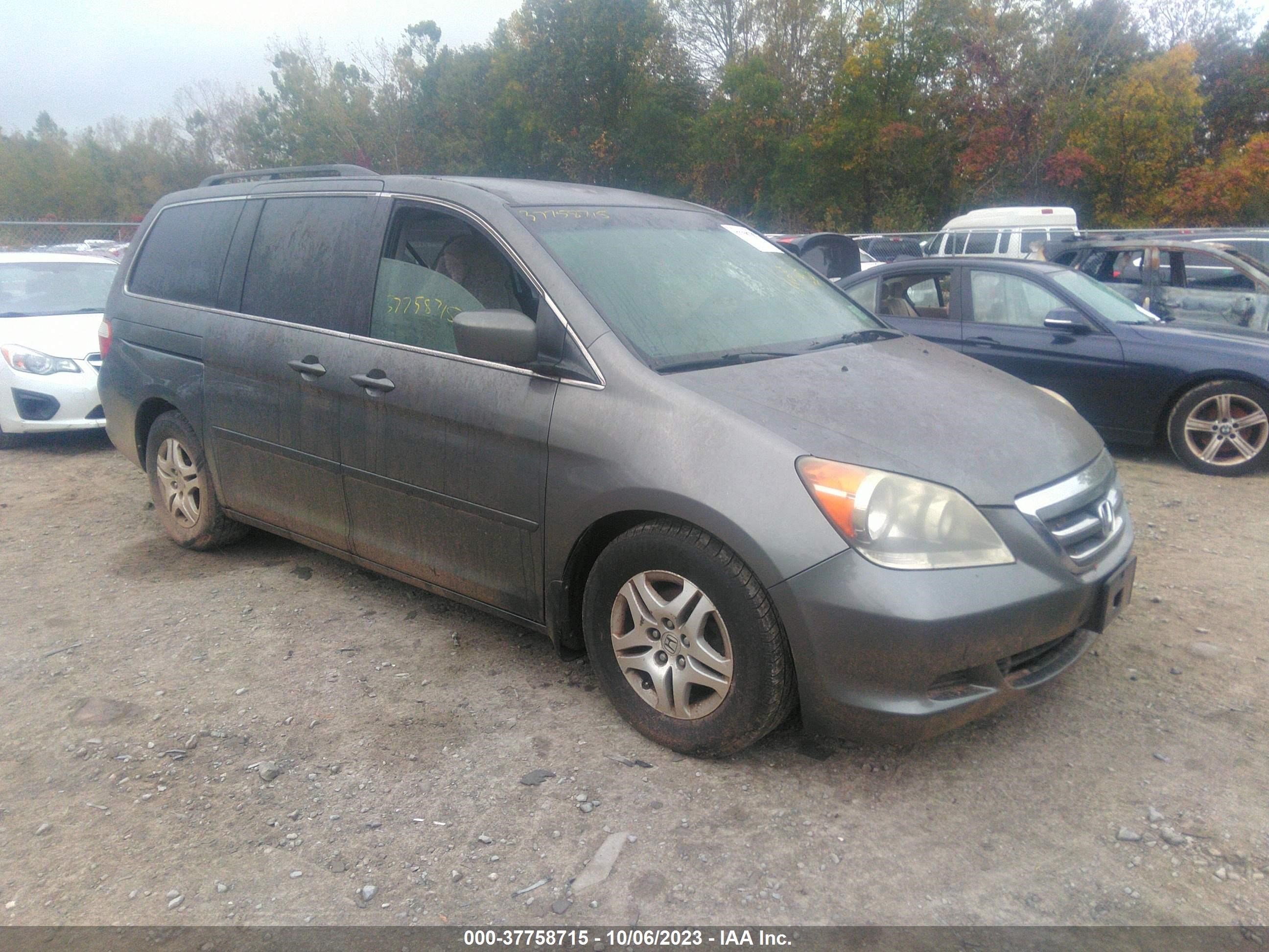 Photo 0 VIN: 5FNRL38407B458396 - HONDA ODYSSEY 