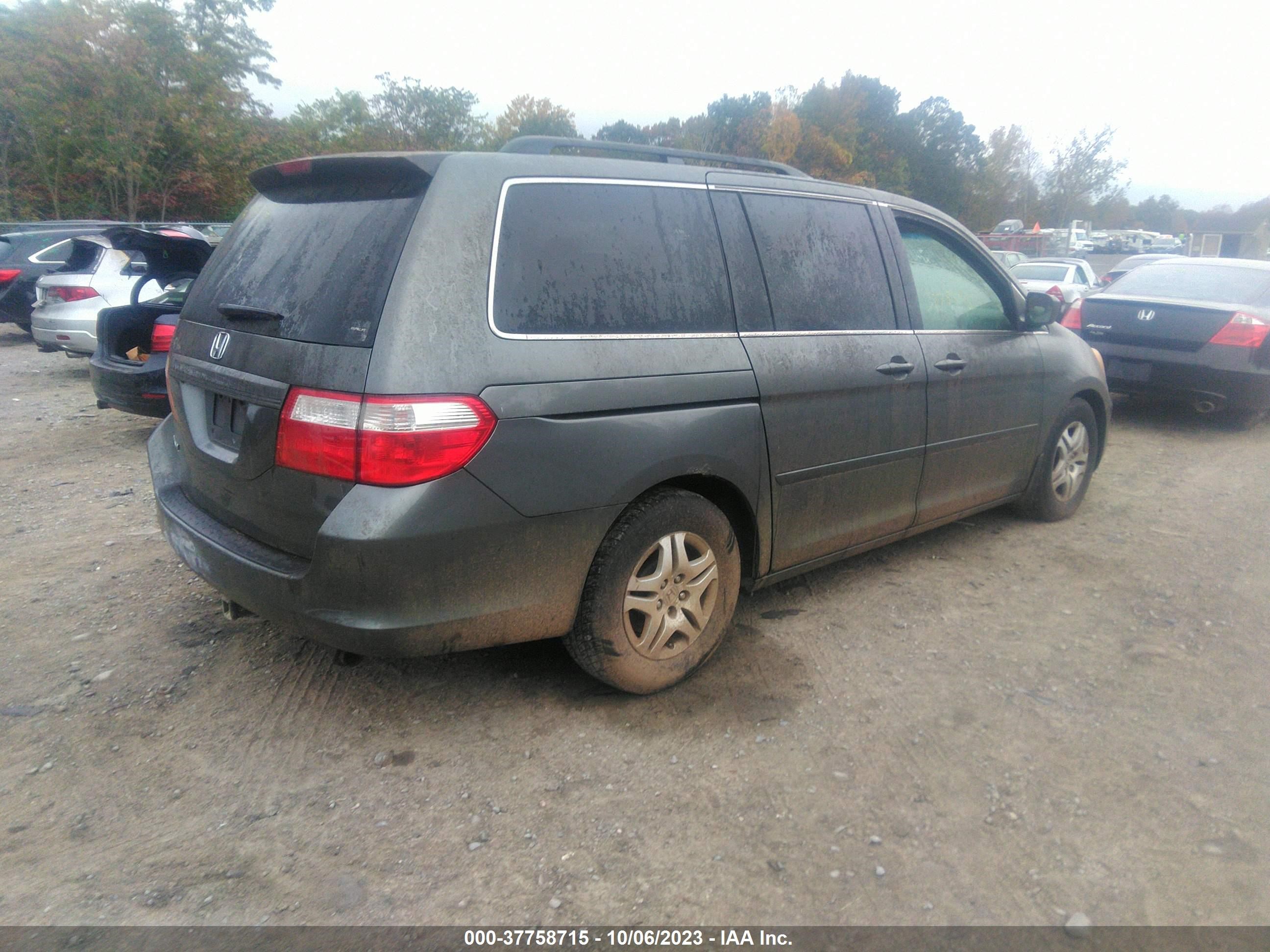 Photo 3 VIN: 5FNRL38407B458396 - HONDA ODYSSEY 